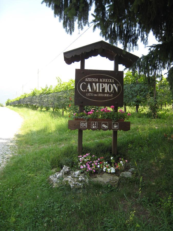 Azienda Agricola Campion ヴァルドッビアーデネ エクステリア 写真