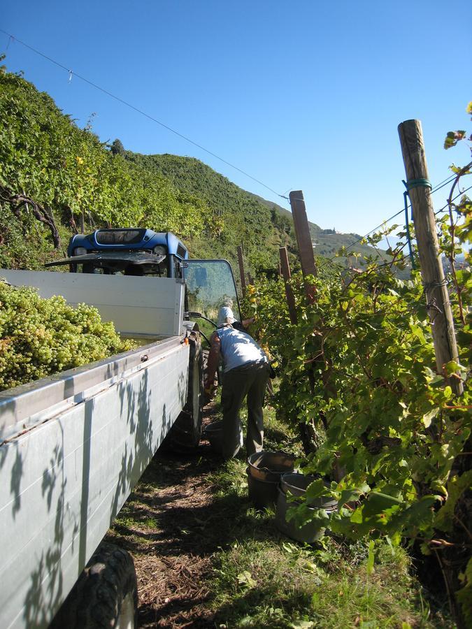 Azienda Agricola Campion ヴァルドッビアーデネ エクステリア 写真
